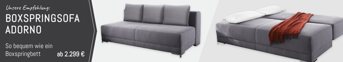 Schlafsofa Federkern